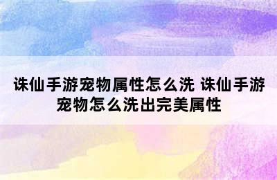 诛仙手游宠物属性怎么洗 诛仙手游宠物怎么洗出完美属性